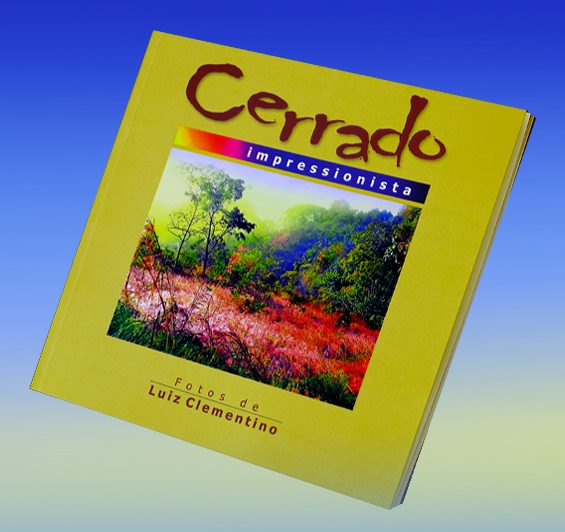 Cerrado Impressionista 1 P1300285xxxx e1503264780928