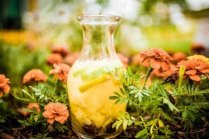 Nova edição do MimoBar tem comida asiática 4 mimobar04